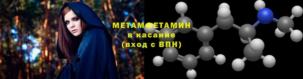 прущие грибы Михайловск