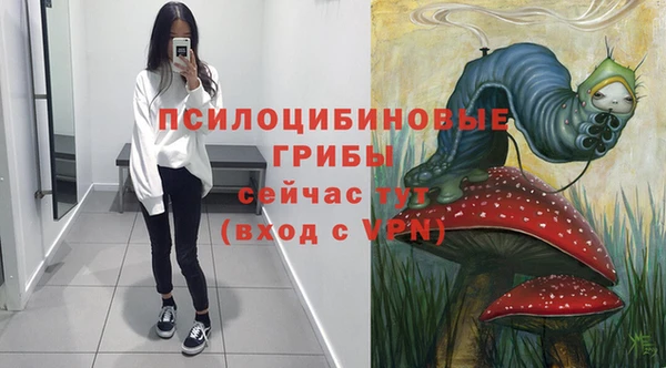 ПСИЛОЦИБИНОВЫЕ ГРИБЫ Абинск