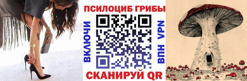 цена наркотик  Тимашёвск  Галлюциногенные грибы Magic Shrooms 
